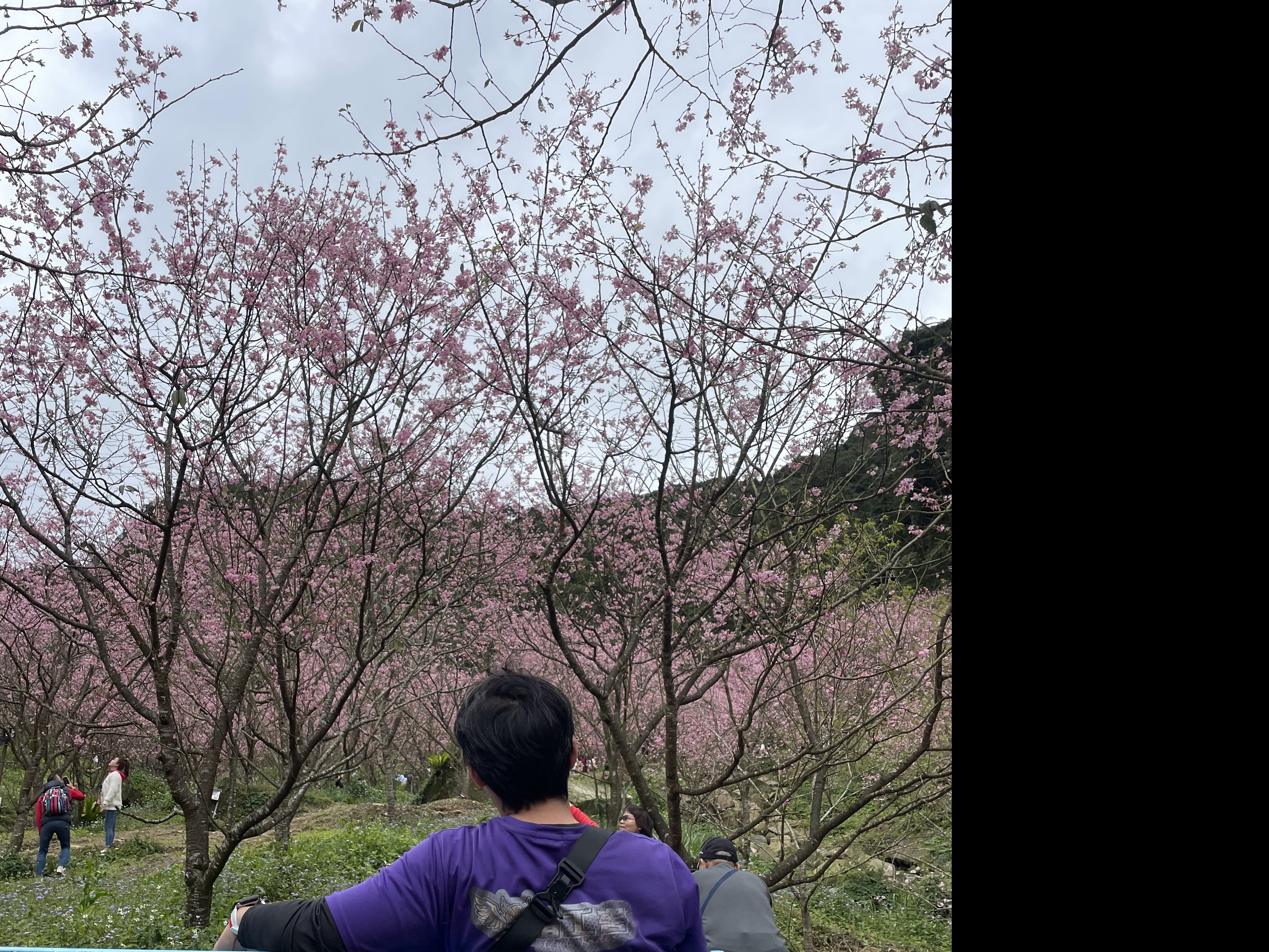 醉酒獨歌〃離騷