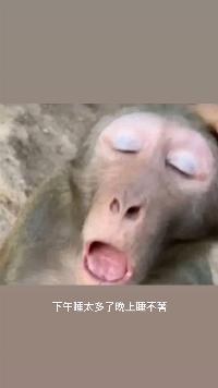 年愁的今夜
